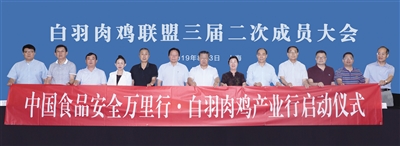 金狮贵宾会宾至如归-尊贵显赫