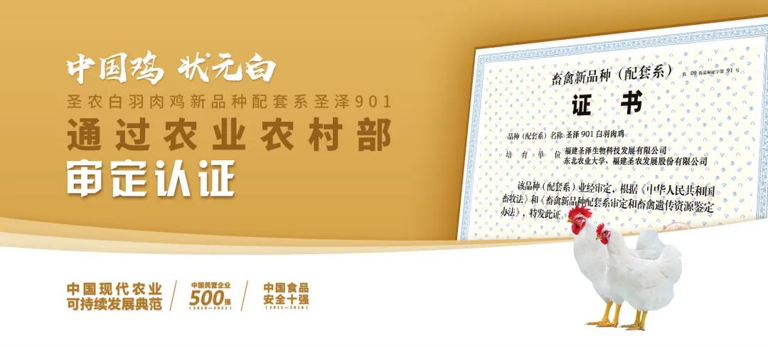 20220322152022 金狮贵宾会宾至如归-尊贵显赫