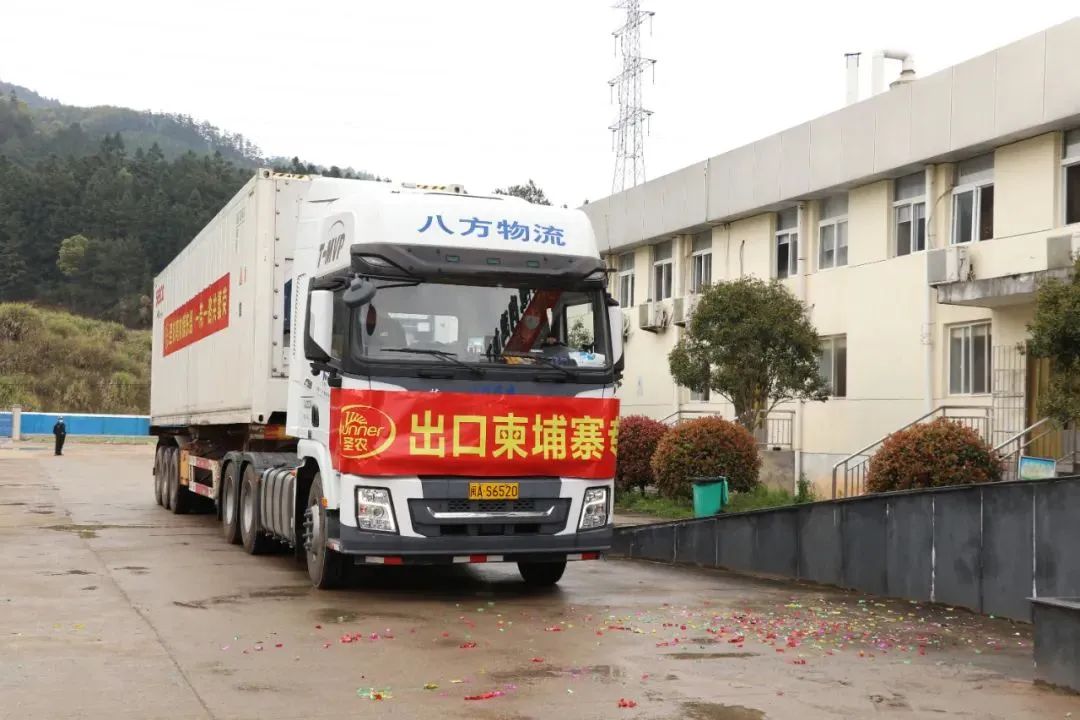 20220413092304 金狮贵宾会宾至如归-尊贵显赫