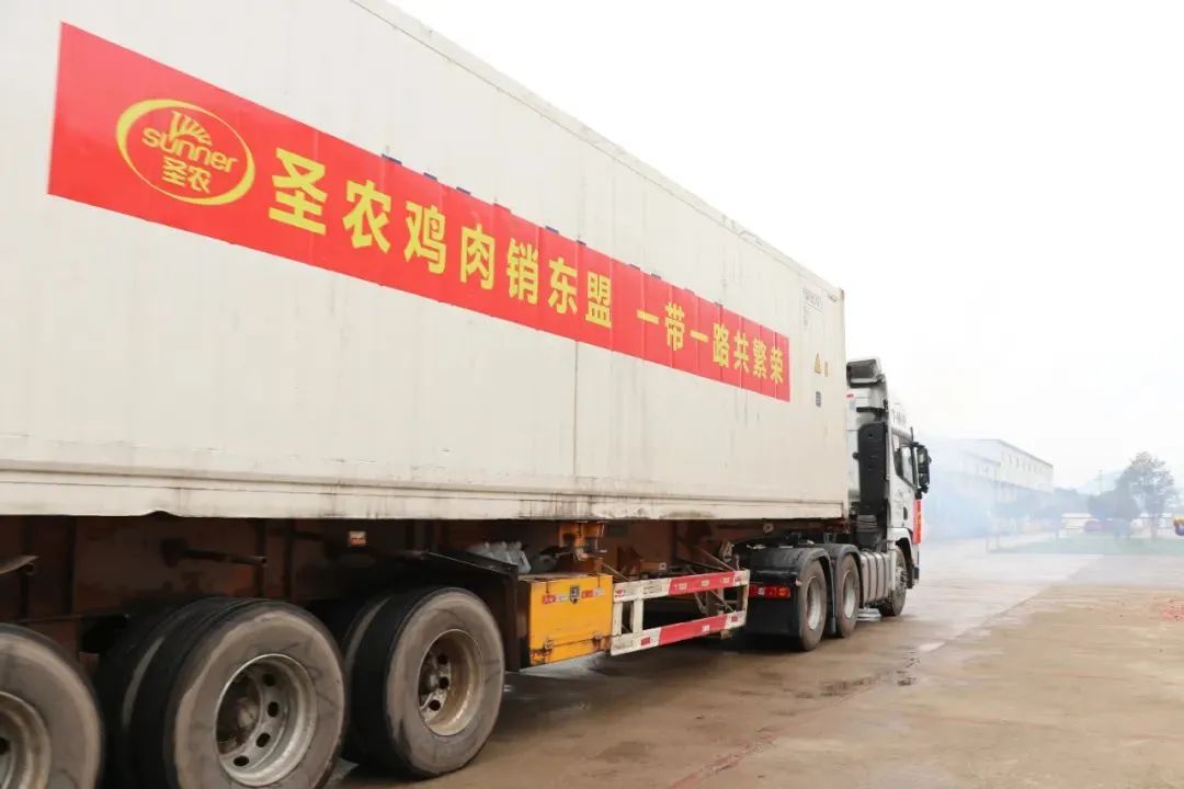 20220413092346 金狮贵宾会宾至如归-尊贵显赫